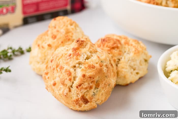 Fluffy Cheddar Biscuits Perfect for Any Meal