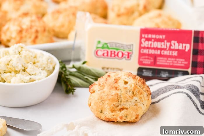 Cheddar Biscuits with Thyme and Sage Butter Ready to Bake