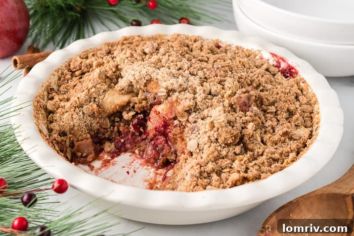 A serving of Cranberry Apple Crisp, showcasing its delightful textures