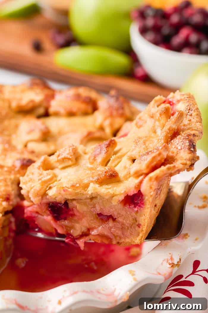 Another enticing view of the baked Apple Cheddar Cranberry Pie, emphasizing its rich texture