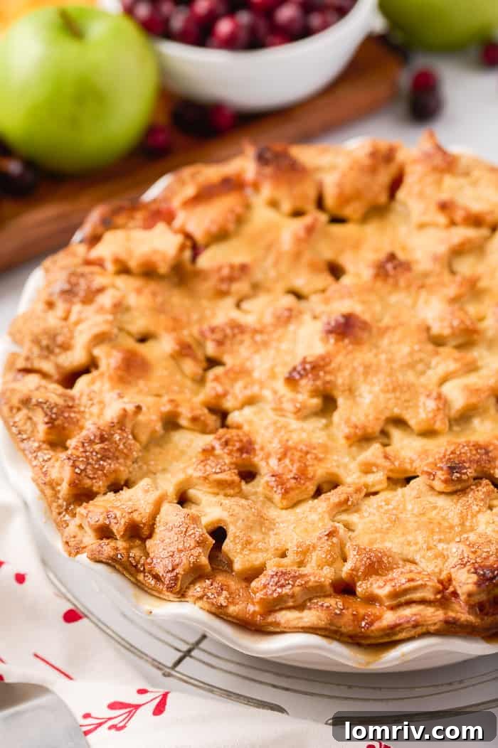 Close-up of a slice of Apple Cheddar Cranberry Pie, showing the flaky crust and fruit filling