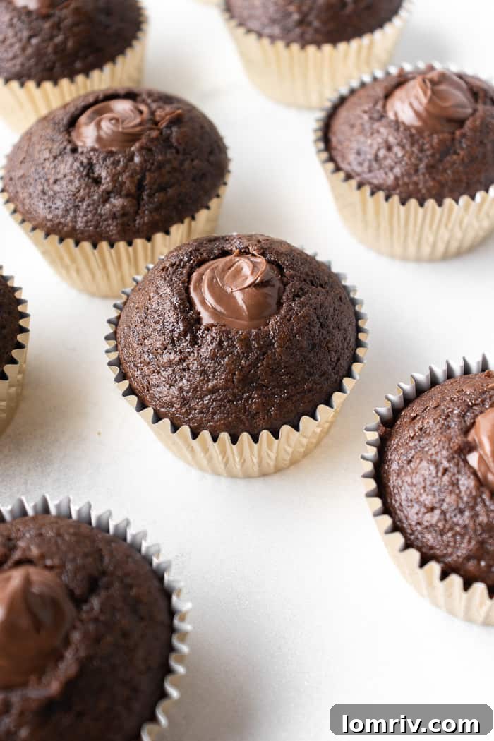 Smores Cupcakes