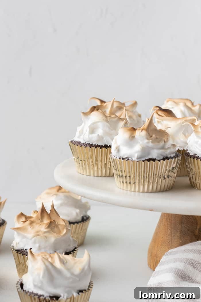 Smores Cupcakes