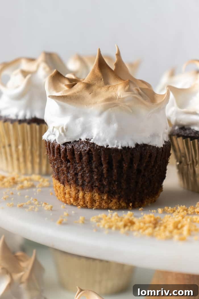 Smores Cupcakes