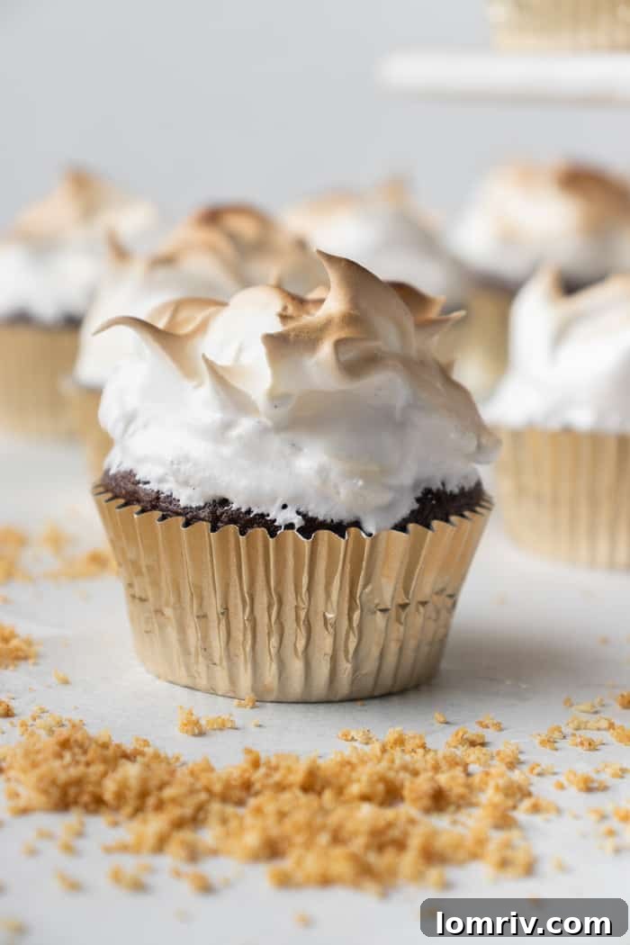Smores Cupcakes