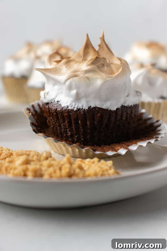 Smores Cupcakes