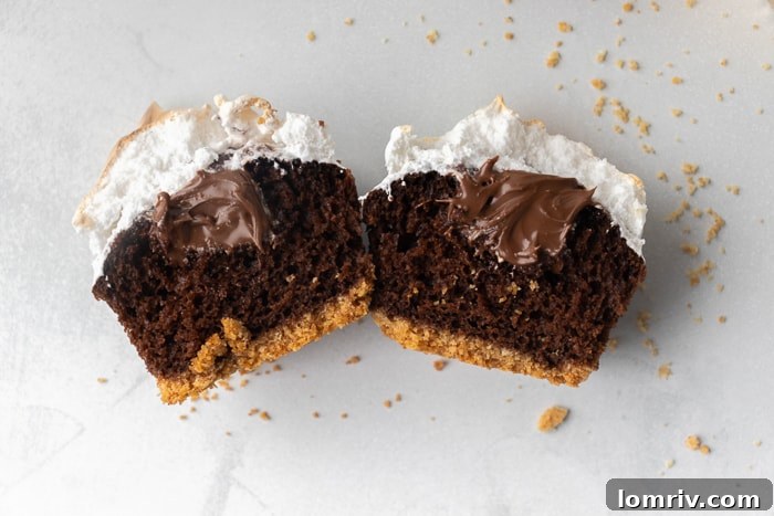 Smores Cupcakes