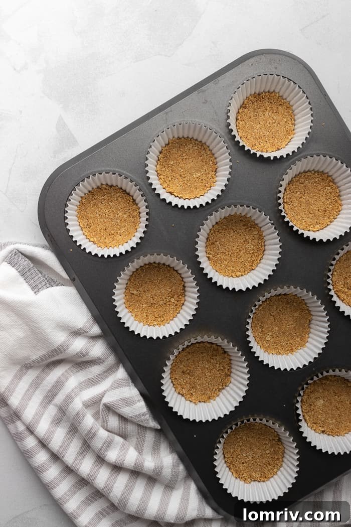 Smores Cupcakes