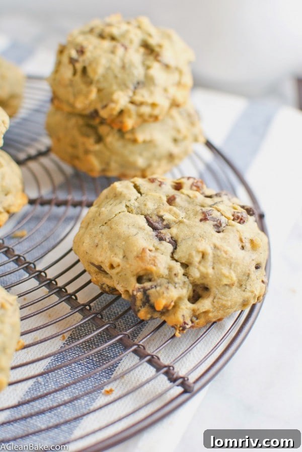 Healthy Oatmeal Cookies with Raisins, Chocolate Chips, and Walnuts