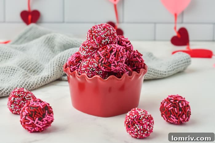 Valentine's Day Chocolate Truffles