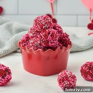 Valentine's Day Chocolate Truffles