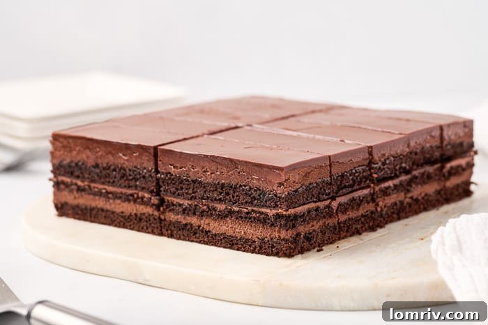 Dark Chocolate Mocha Mousse Cake