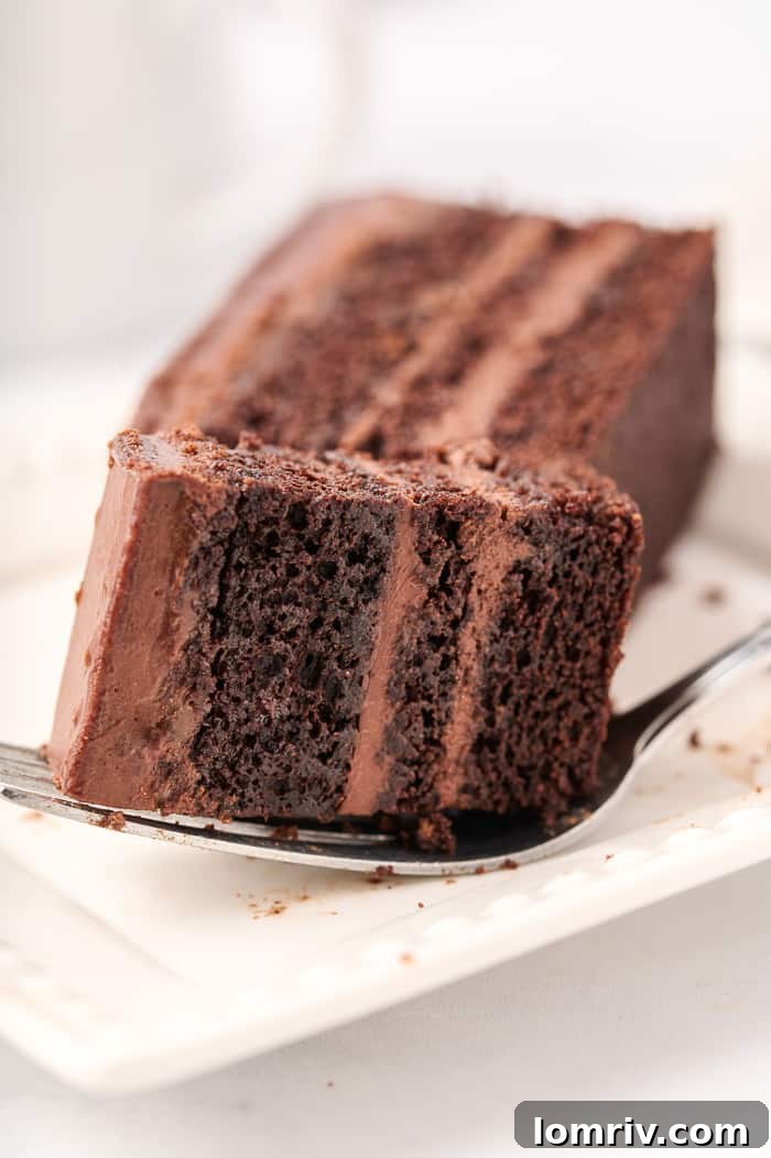 Dark Chocolate Mocha Mousse Cake