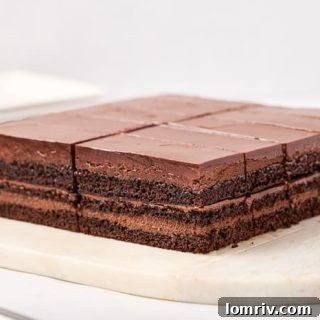 Dark Chocolate Mocha Mousse Cake