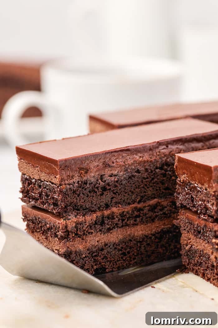 Dark Chocolate Mocha Mousse Cake