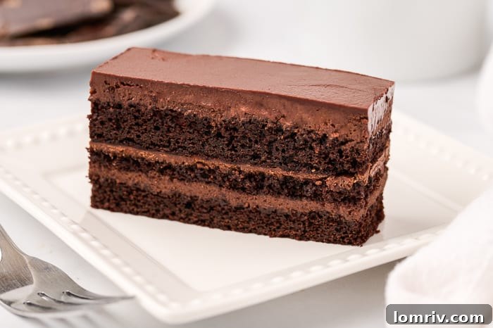 Dark Chocolate Mocha Mousse Cake