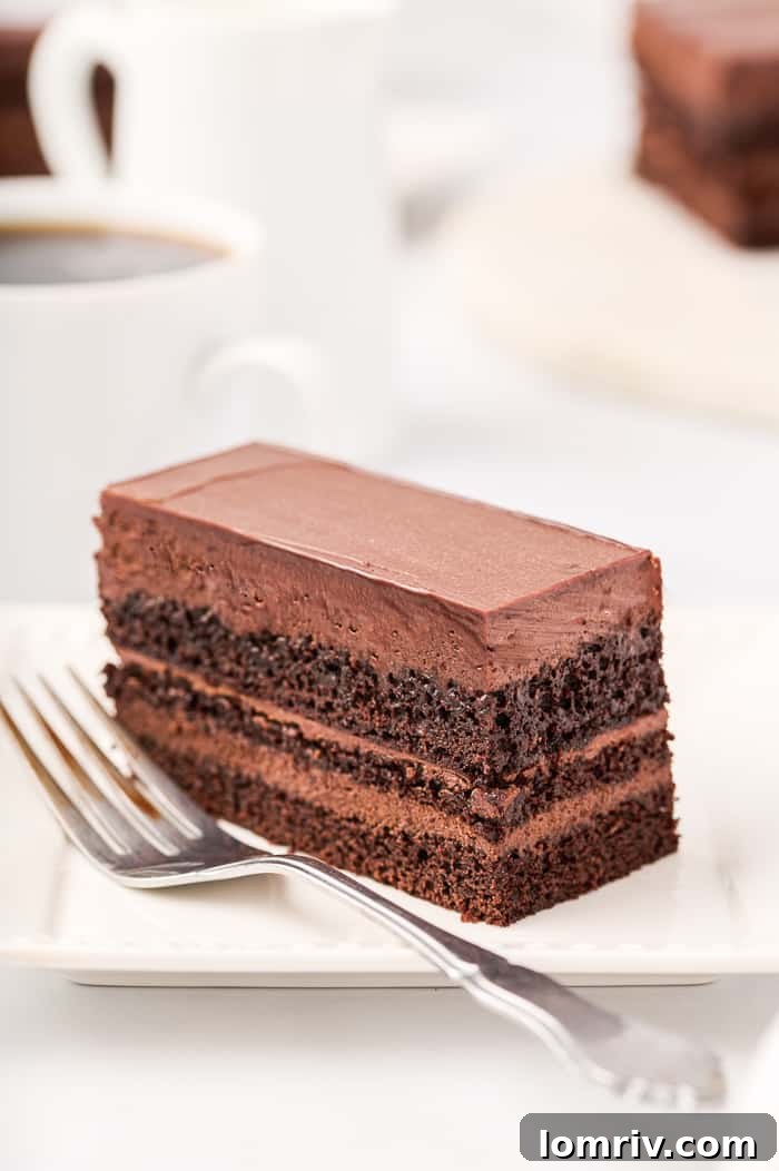 Dark Chocolate Mocha Mousse Cake