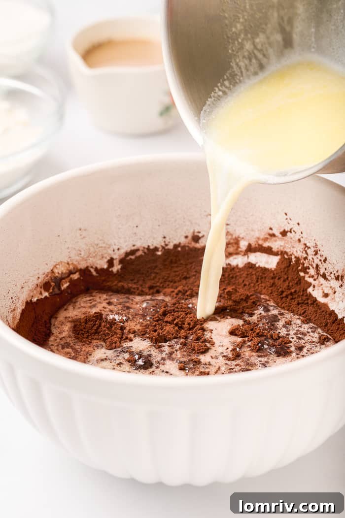 Dark Chocolate Mocha Mousse Cake