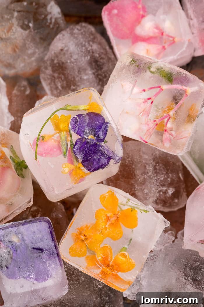 Close-up of various edible flower ice cubes