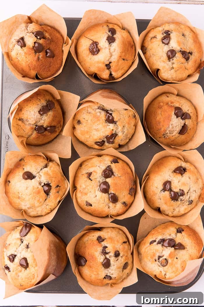 Delicious Homemade Banana Chocolate Chip Muffins, perfectly baked and golden brown