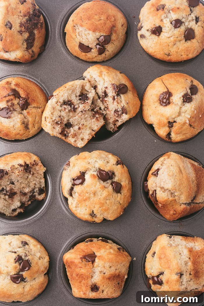 Warm Banana Chocolate Chip Muffins, split in half with butter, ready to be enjoyed