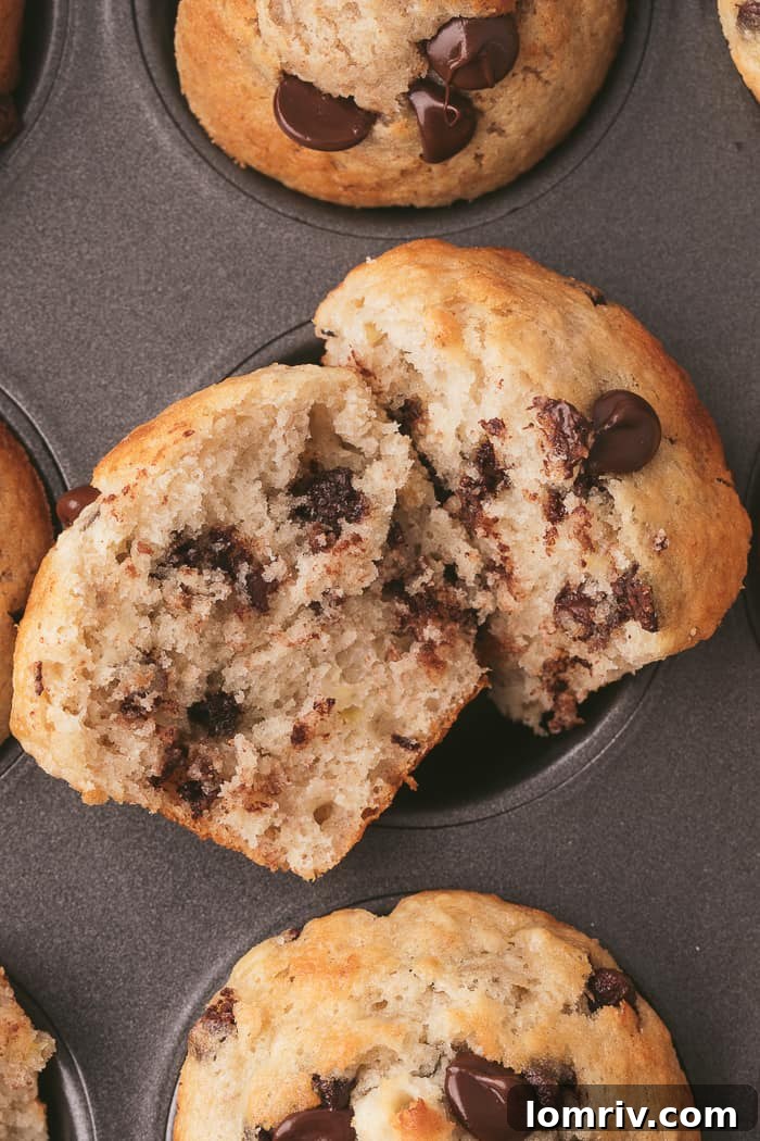A close-up of a Banana Chocolate Chip Muffin, showing its moist interior and generous chocolate chips