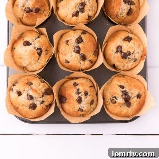 Banana Chocolate Chip Muffins