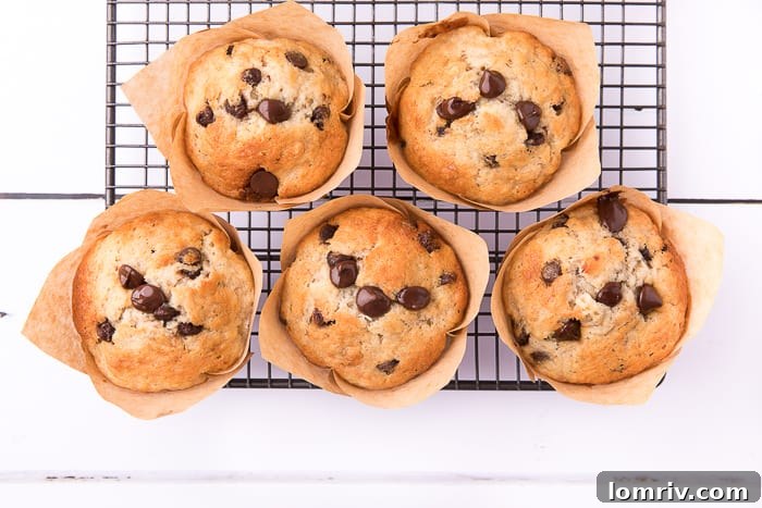 Warm Banana Chocolate Chip Muffins cooling on a wire rack, ready to be enjoyed