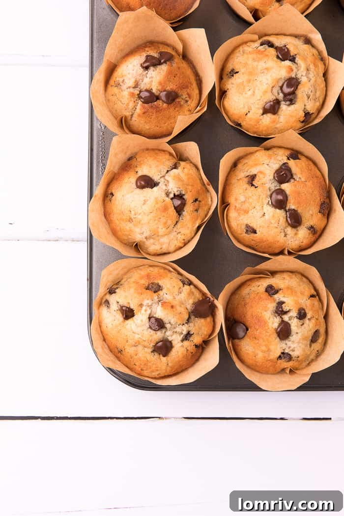 A basket full of freshly baked Banana Chocolate Chip Muffins, looking inviting and delicious