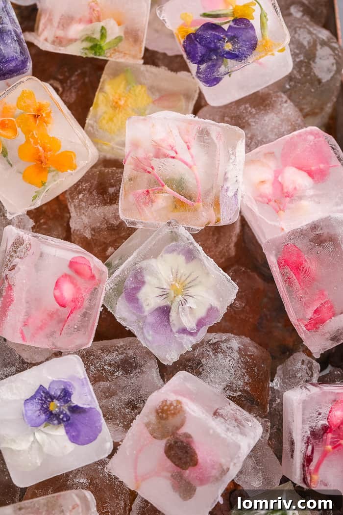 Edible Flower Ice Cubes in a glass, a vibrant and refreshing visual