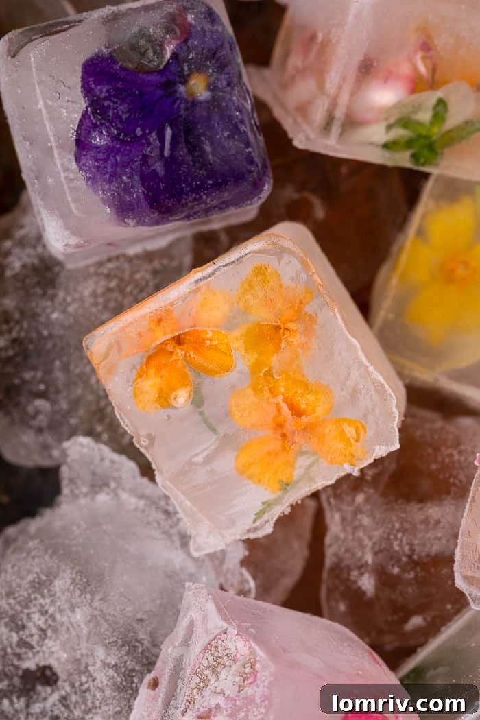 Close-up of perfectly clear Edible Flower Ice Cubes