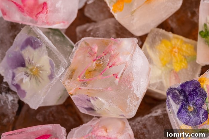 Assortment of vibrant Edible Flower Ice Cubes in various shapes