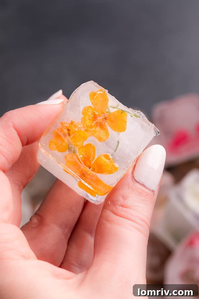 A hand gently placing an edible flower into an ice cube tray