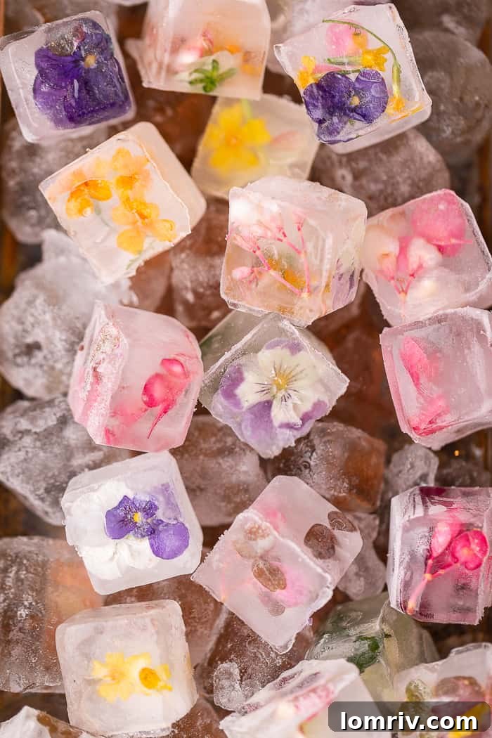 A collection of Edible Flower Ice Cubes in an ice bucket, ready for serving