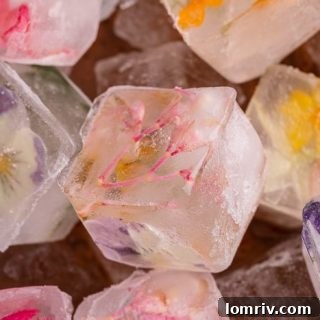 Edible Flower Ice Cubes in a glass, a vibrant and refreshing visual
