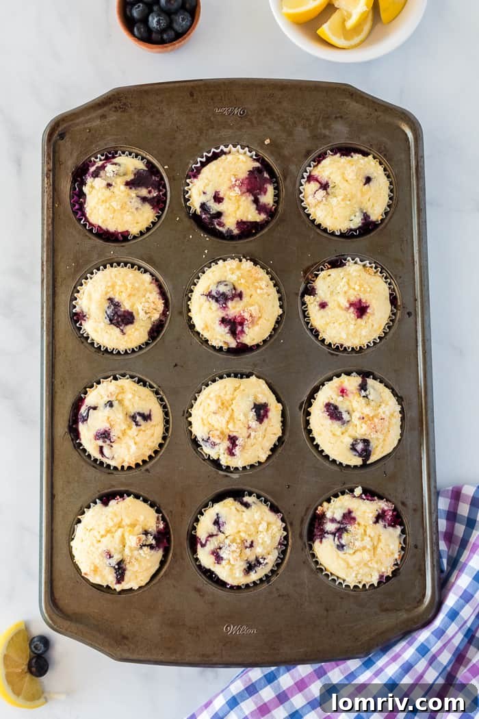 Lemon Blueberry Muffins in a storage container
