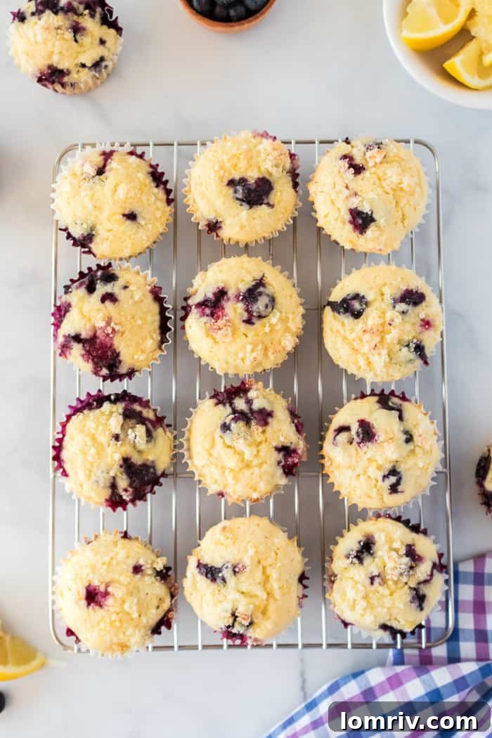 A plate of fresh Lemon Blueberry Muffins with a cup of coffee