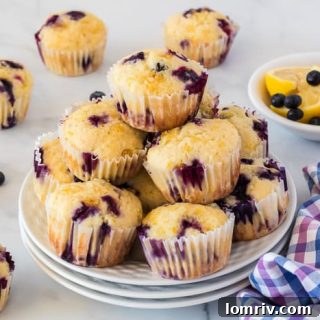 Lemon Blueberry Muffins