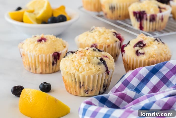 Ingredients for Lemon Blueberry Muffins laid out on a counter