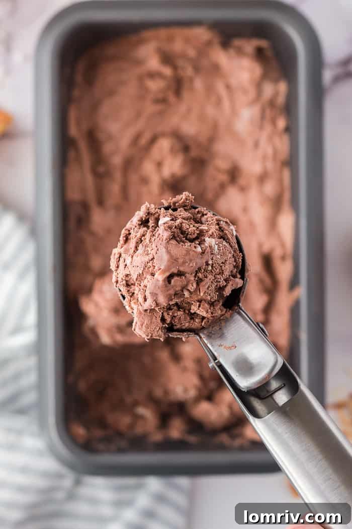 Scooped No Churn Chocolate Coconut Ice Cream
