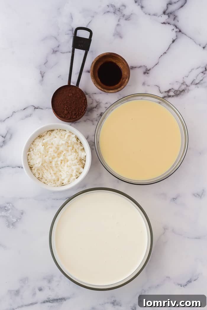 No Churn Chocolate Coconut Ice Cream ingredients