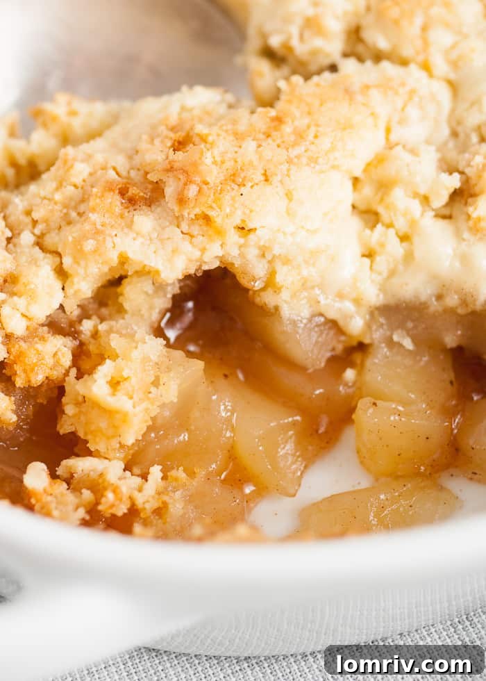 A bowl of warm, gooey Easy Apple Cobbler, topped with a scoop of vanilla ice cream.