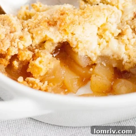 Easy Apple Cobbler Recipe