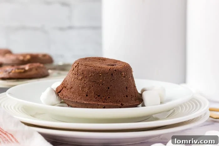Baked Marshmallow Lava Cake with Vanilla Ice Cream