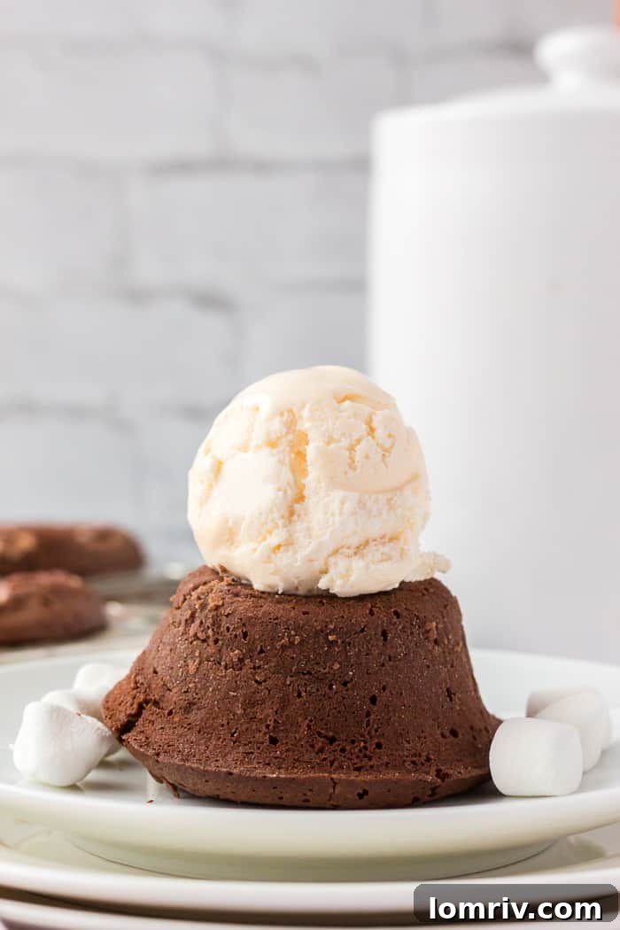 Close-up of Marshmallow Lava Cake with Marshmallow Center