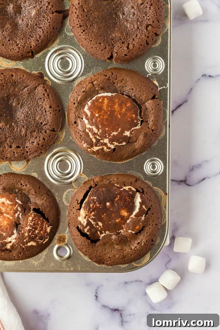 Raw Marshmallow Lava Cakes Ready for Baking