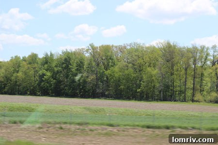 Barren landscape after winter drive