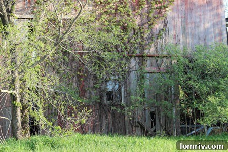 Searching for rustic barn wood for photography