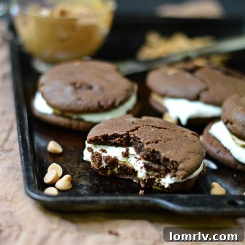 Peanut Butter Chocolate Chip Cookie S'mores