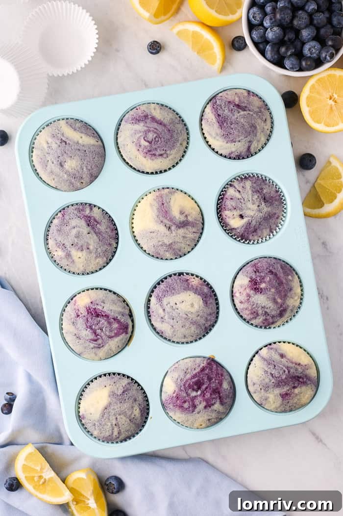 Baked Lemon Blueberry Cupcakes cooling on a wire rack